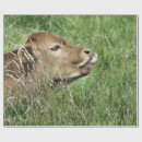 牛 ラッピングペーパー かわいいを検索する