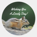 chipmunk かわいいを検索する