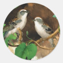 すずめ シール あらゆる人を検索する