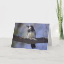 キツツキ ツツキ ツキ カード 自然を検索する