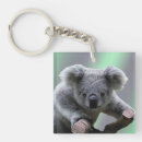 marsupial キーホルダー くまを検索する