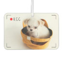 カー エアーフレッシュナー 写真を検索する