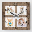pet アート ペットを検索する