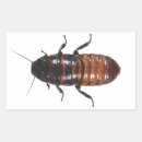 ゴキブリ シール 昆虫を検索する