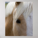 馬 ポスター 動物を検索する