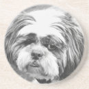 シーズー 犬 コースター あらゆる人を検索する