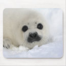 アザラシ マウス パッド マウスパッド カナダを検索する