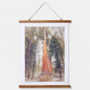 セコイア 木 アート 景観を検索する