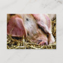 豚 名刺 農園を検索する