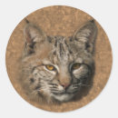 ボブキャット ブキャット キャット ャット ット シール 野生生物を検索する