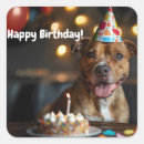 犬 シール 誕生日を検索する