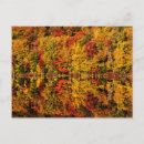fall ポストカード Foliageを検索する