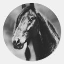 競馬 馬 シール ウマ科のを検索する