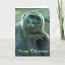 ゴリラ リラ カード すべての人を検索する