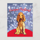 コッカースパニエル 犬 ポストカード クリスマスを検索する