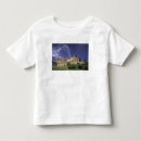 カルカソンヌ tシャツ 中世を検索する