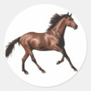 競馬 馬 シール 動物を検索する