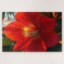 ハワイ パズル エキゾチックを検索する