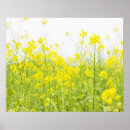 陰 アート アウトドアを検索する