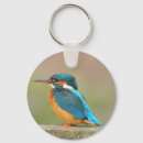 カワセミ キーホルダー 自然を検索する