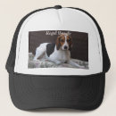 ビーグル 犬 ハット 猟犬を検索する