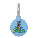 ドッグ用品 Scooby dooを検索する