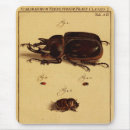 カブトムシ マウスパッド 自然を検索する