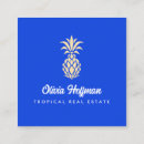 パイナップル 名刺 実在地を検索する