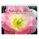 boquet 春を検索する