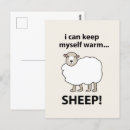 羊 ポスト カード ポストカード 女性を検索する