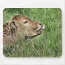 cute マウスパッド すべての人を検索する