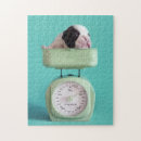 フレンチ ブルドッグ ゲーム ホビー かわいいを検索する