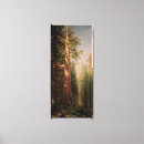 セコイア 木 アート 樹木を検索する