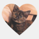 猫 猫 シール 愛らしいを検索する