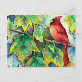 0004カーディナルポストカード ポストカード