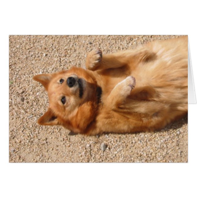 0006Copper腹摩擦 (正面横)