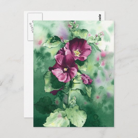 0007ドロシーの葵はがき ポストカード (正面/裏面)