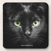 001 コースター (正面)