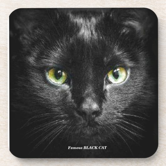 001 コースター (正面)