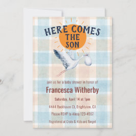 001 空 水彩チェック柄 コウテンチョウ ボーホー ベビーシャワー 招待状