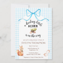 002 Cerulean Squirrel Acorn Gingham Baby Shower