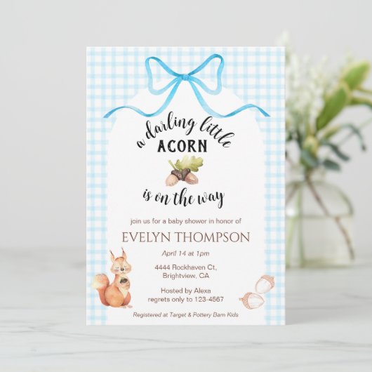 002 Cerulean Squirrel Acorn Gingham Baby Shower 招待状 (スタンド正面)