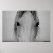 003 ポスター (正面)