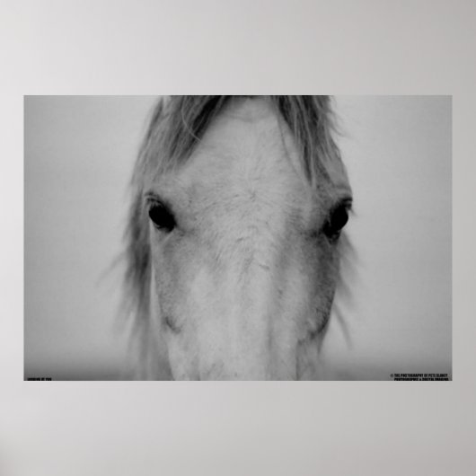 003 ポスター (正面)