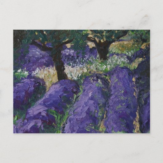 0063ルシャンドラヴァンデ ポストカード (正面)