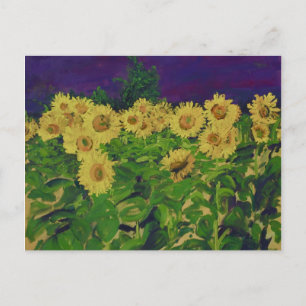 0067 le champ desのtournesols ポストカード