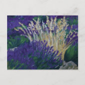 0071-le champ de lavande ポストカード (正面)