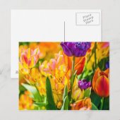 01魅惑のチューリップ ポストカード (正面/裏面)