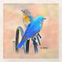 010ブルーバード愛4x4ガラスのコースター ガラスコースター