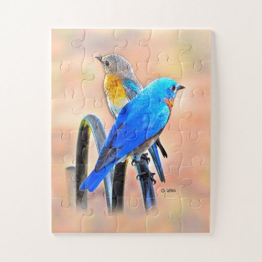 010人のブルーバード愛パズル11x14の子供 ジグソーパズル (縦)